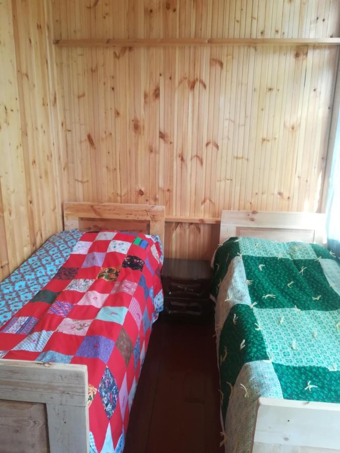 Guest House Georgia Elisabeth Adishi Zewnętrze zdjęcie